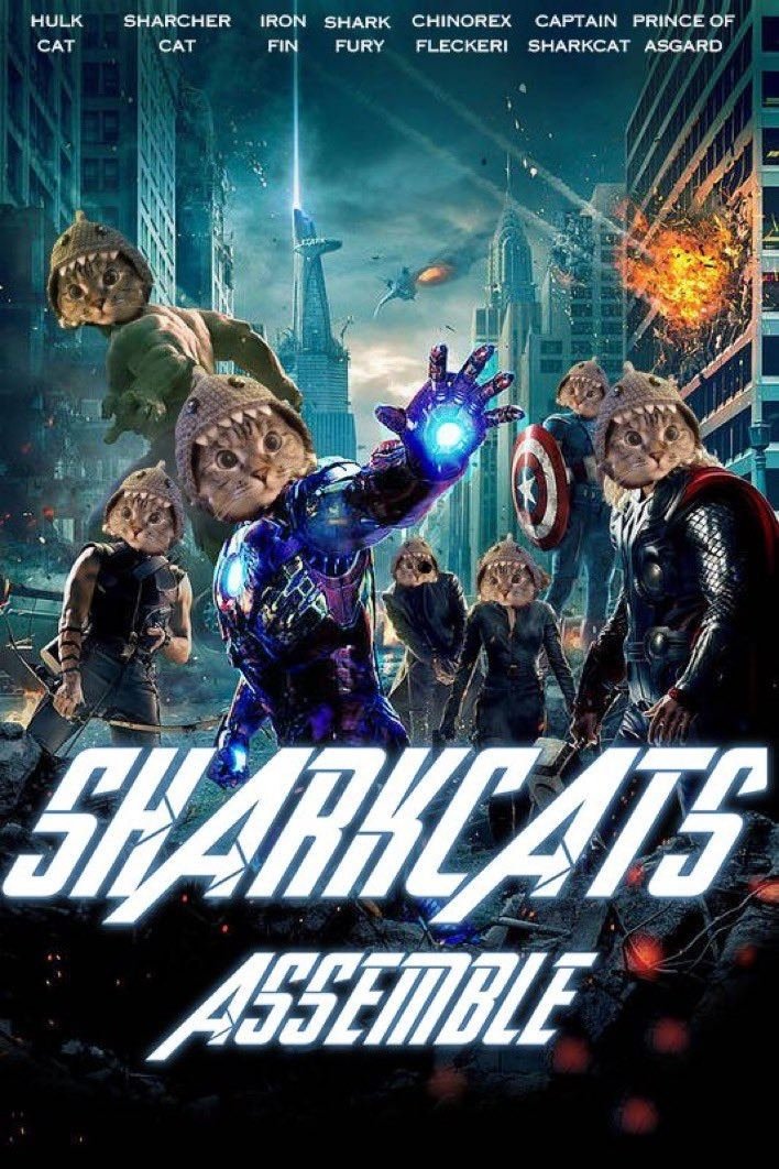 SharkCatSolana's tweet photo. Gsharkcat
Persist https://t.co/IoiJhgSqjc