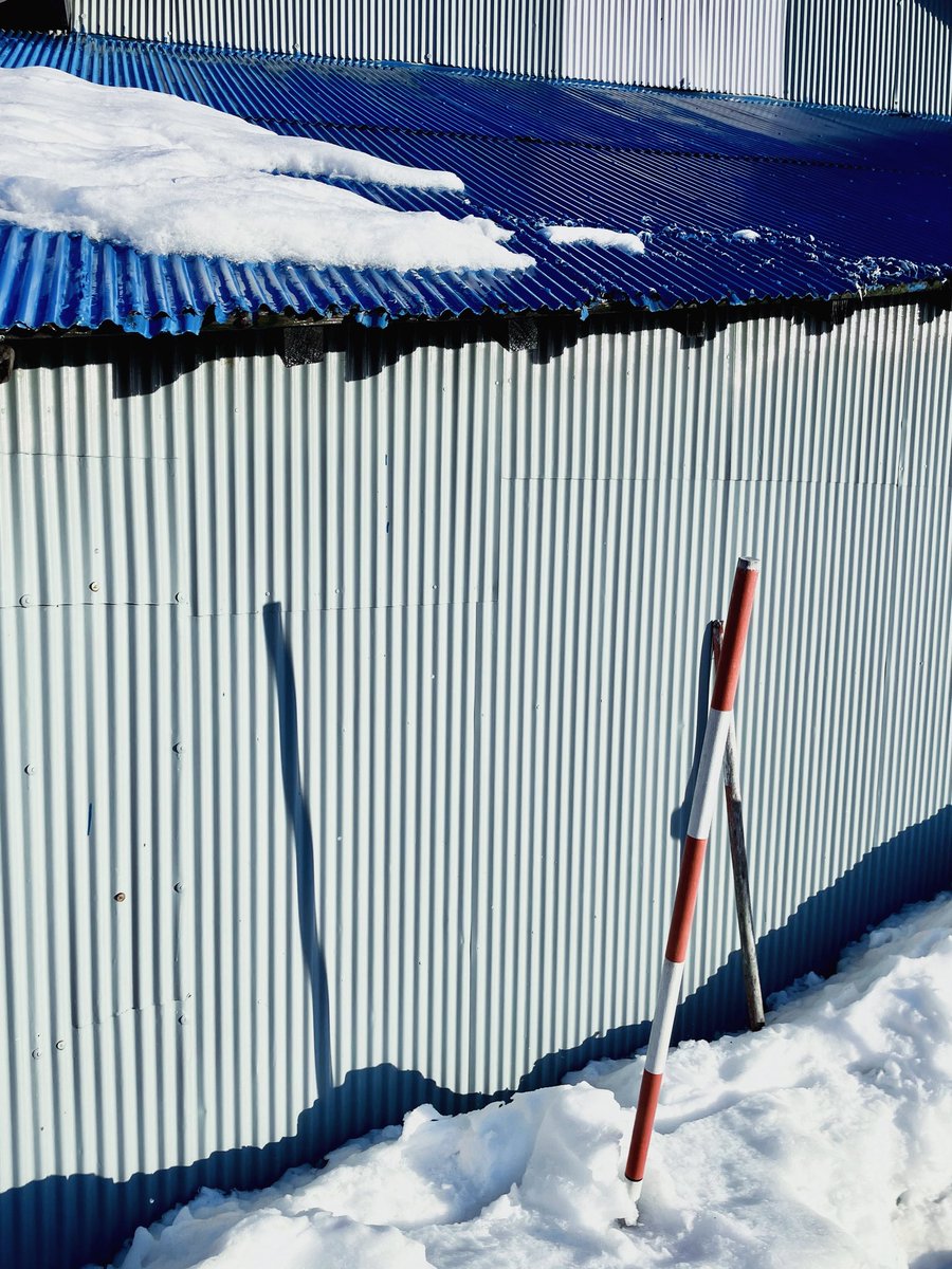 ボブ (@bo_bu_) on Twitter photo 