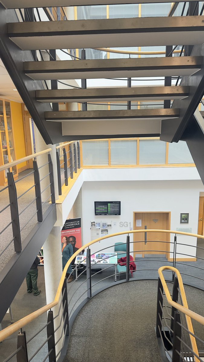 Melike Metintaş tweet media