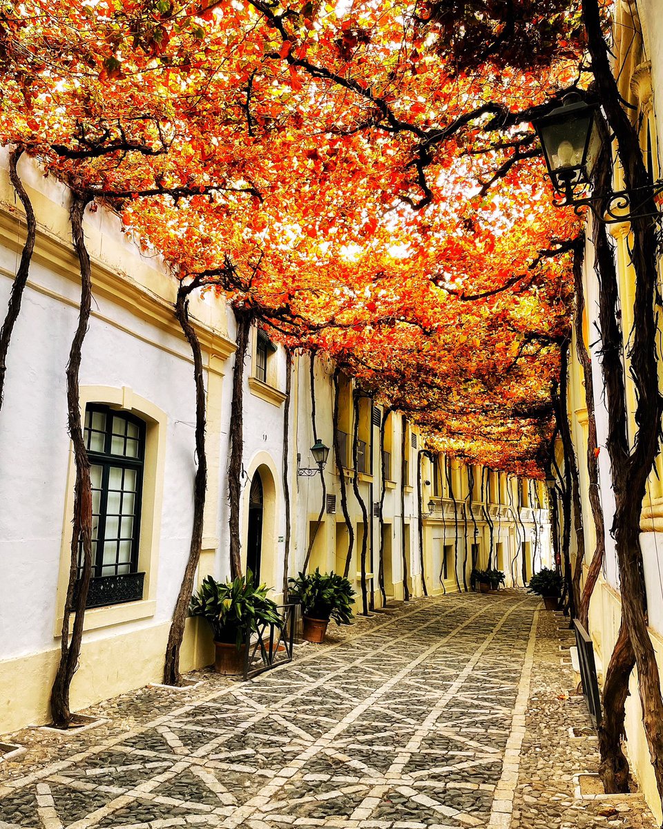 Callejón de los Ciegos, complejo bodeguero González Byass, Jerez de la Frontera (Cádiz).