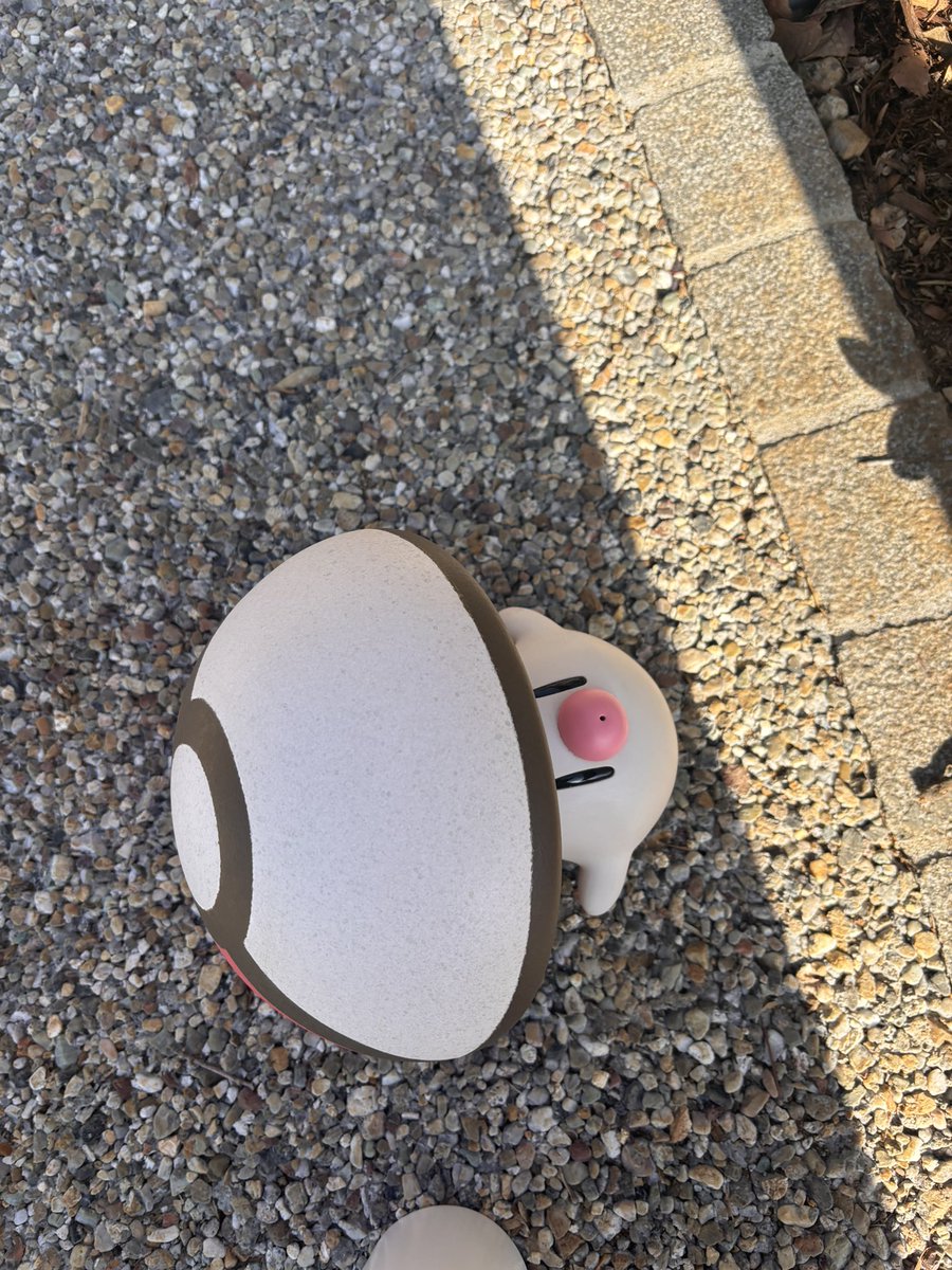 riripi175's tweet photo. みーつけたっ！
#ポケパークカントー 
#ポケパーク https://t.co/cstKyKIZ8h
