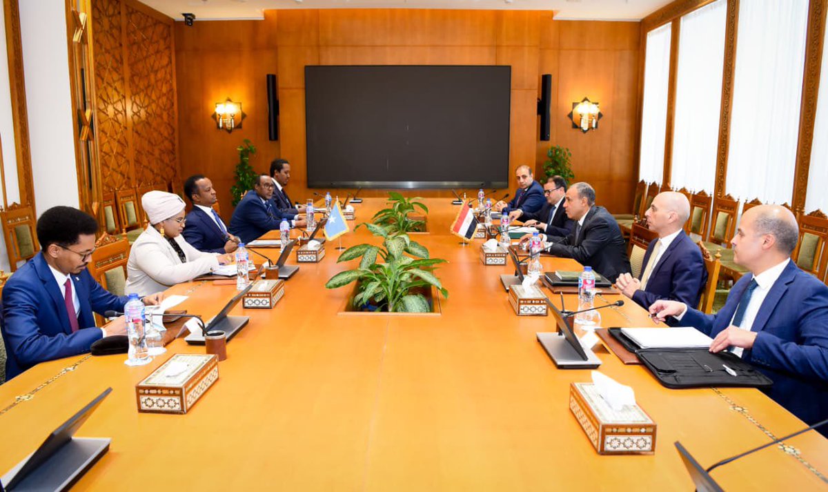 Egypt MFA Spokesperson tweet media