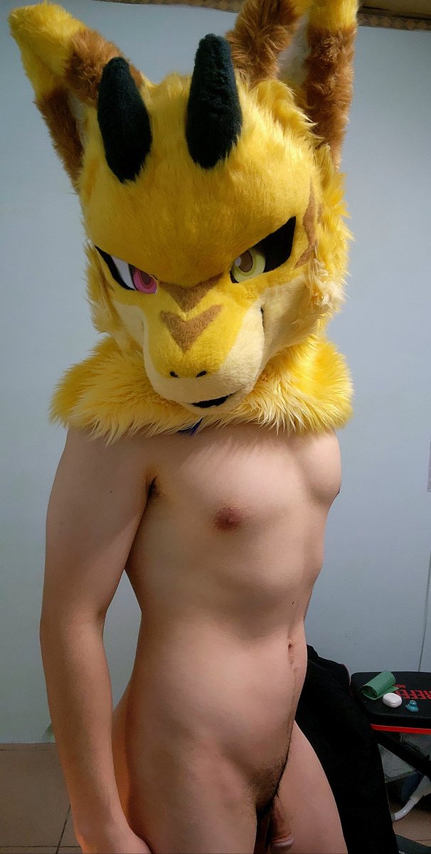 hogg 🔜 2026 Hi Furry , UTFG ,OFFF tweet media