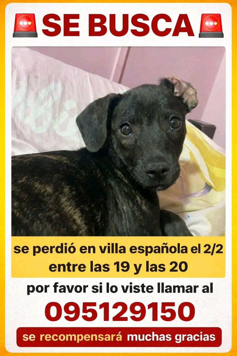 Se busca !