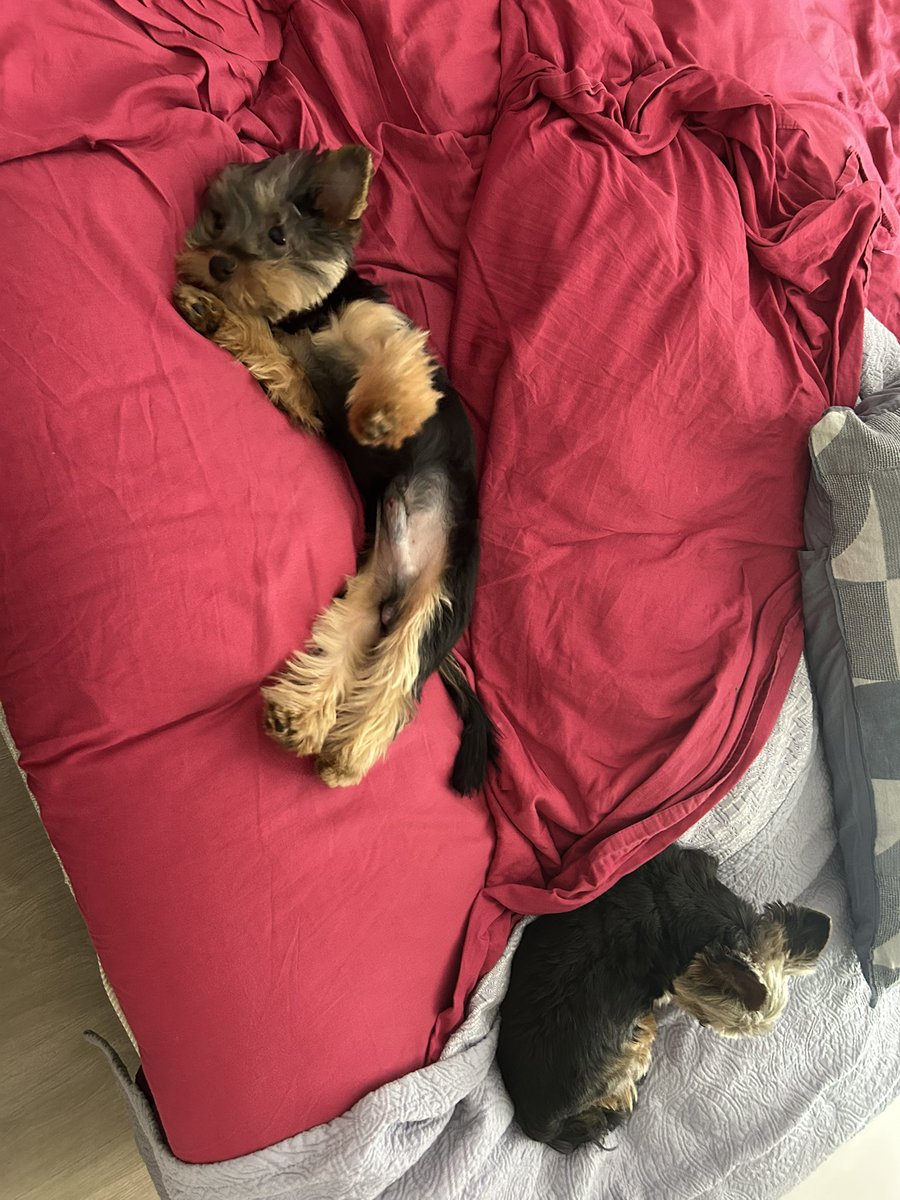 ACB2506's tweet photo. 🙄😴 https://t.co/Sj6chcnBYh