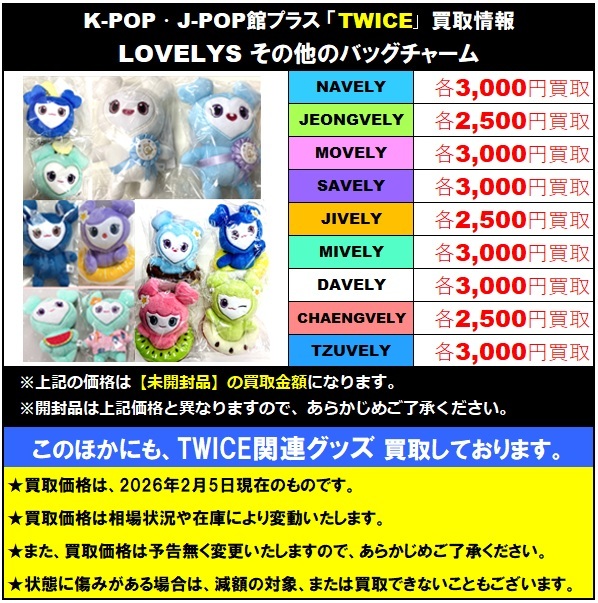 TWICE #TWICE_THISISFOR_WORLD_TOUR TWICE ラブリー&チョンサ グッズ