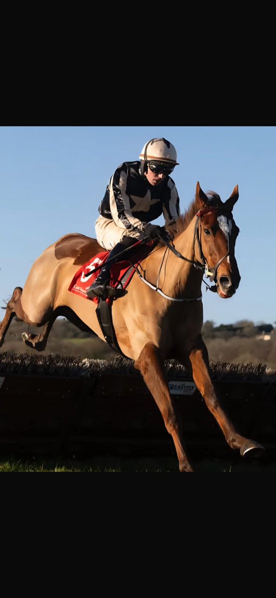 LionsMouth's tweet photo. It’s off to @WarwickRaces for the members of the club on Saturday as Good Girl Kathleen takes on 8 good mares in the Grade 2 Jane Seymour mares novice hurdle. Best of luck to all and safe travels ⛴️ ✈️ #DonaghMeyler #EmmetMullins @jamesfent https://t.co/Li1xT50M2W