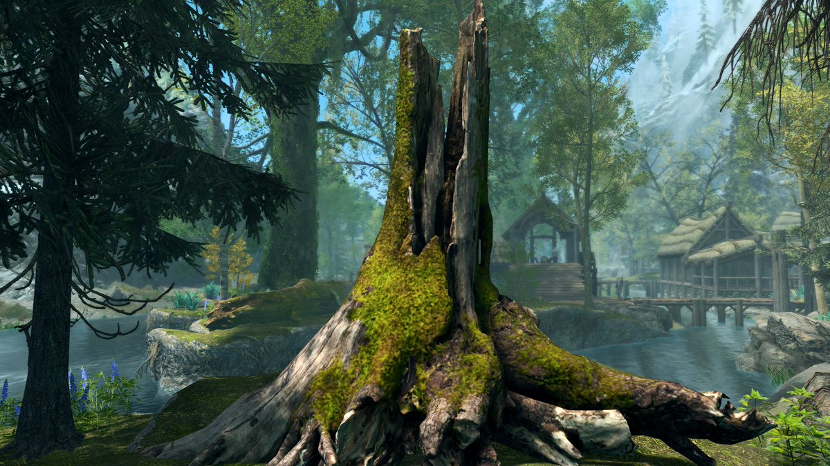 javysouls's tweet image. Un día sin #Skyrim es un día perdido. 😌
🤭 #XboxSeriesX #Mods 😻💚
Nueva iluminación, shaders, vegetación, nuevas texturas para agua, enemigos, edificios, animales, armas, armaduras… 🤤