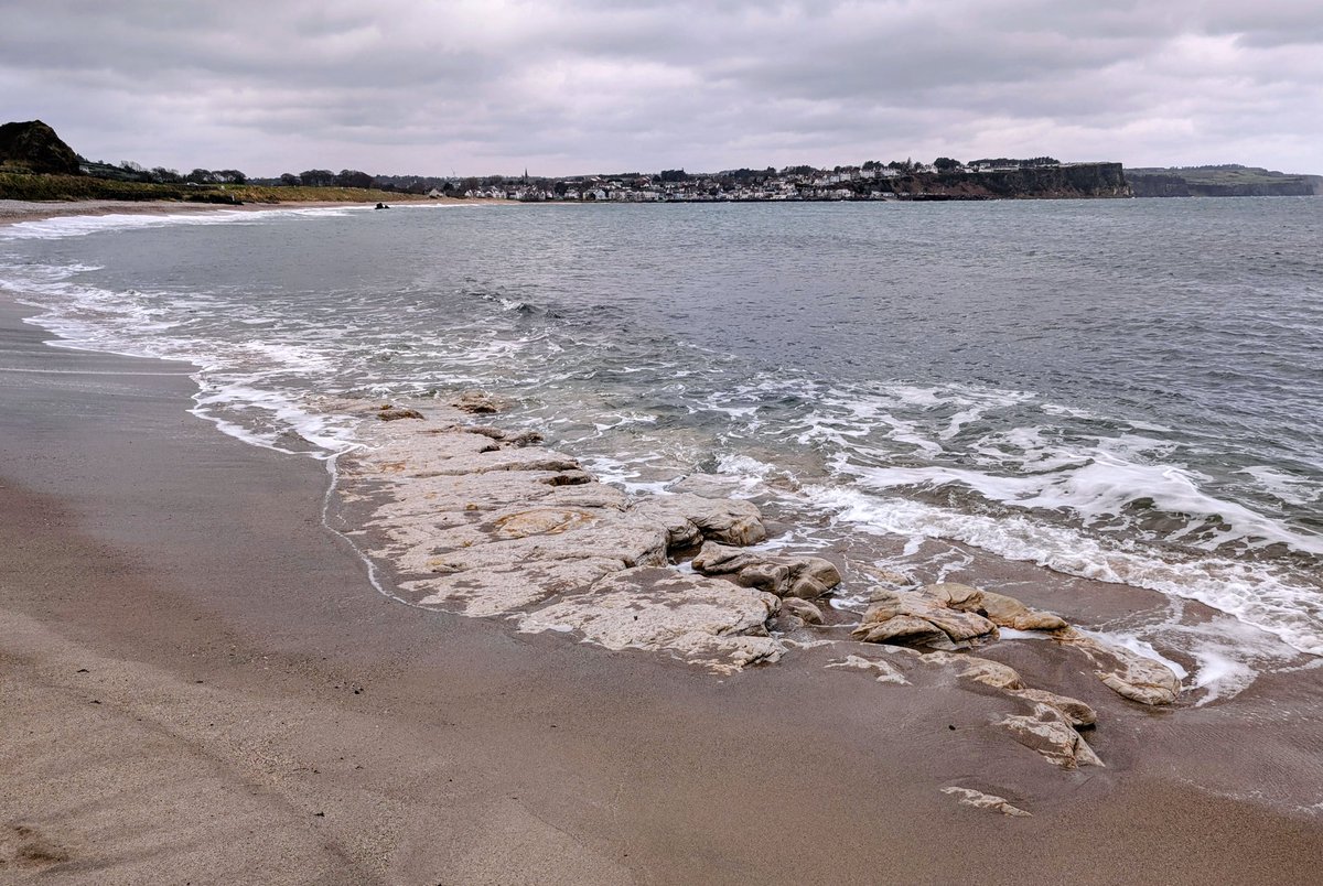 Anne Kelly ⛔NO DMs⛔ unless I know or follow you. tweet media