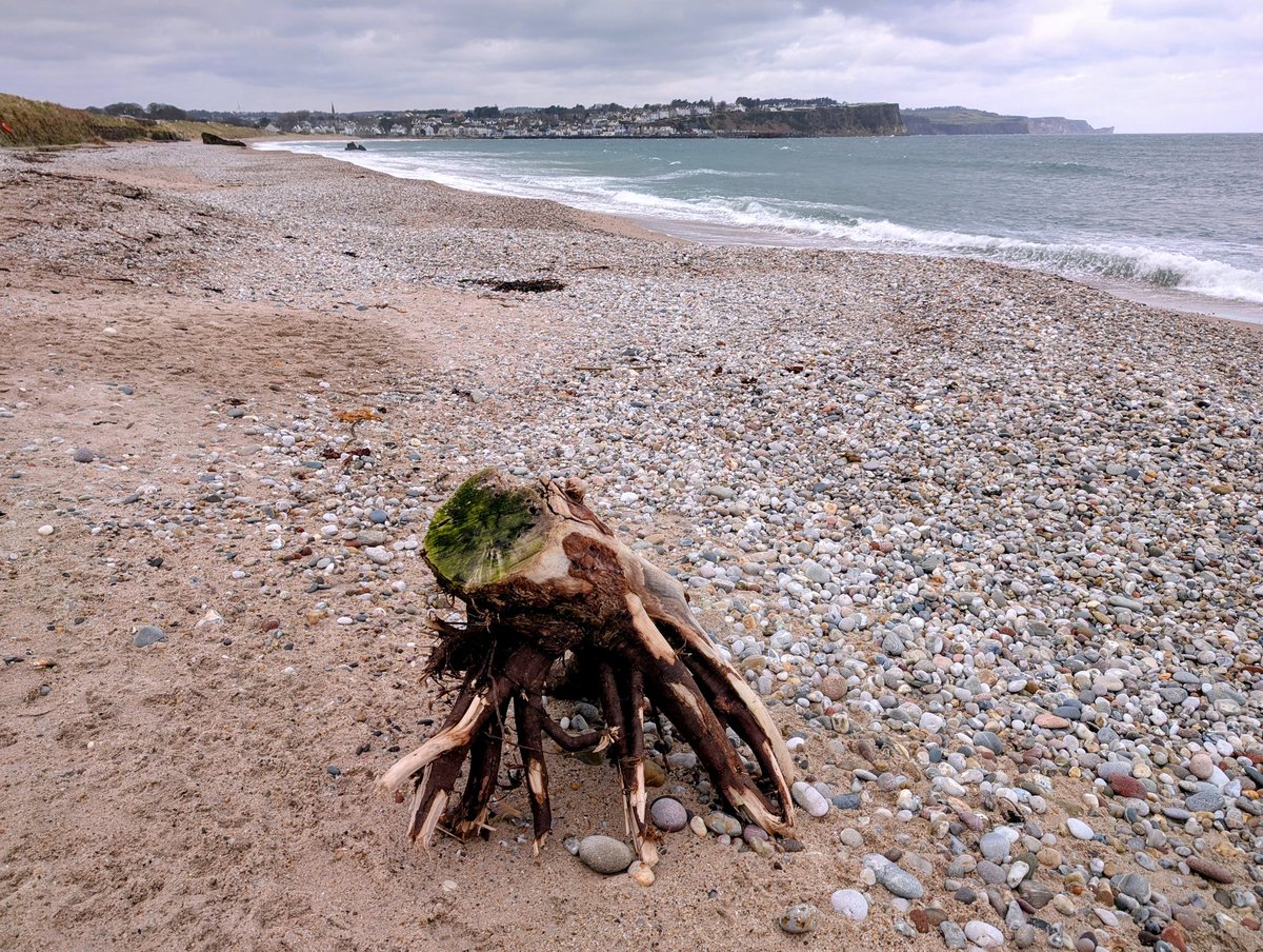 Anne Kelly ⛔NO DMs⛔ unless I know or follow you. tweet media