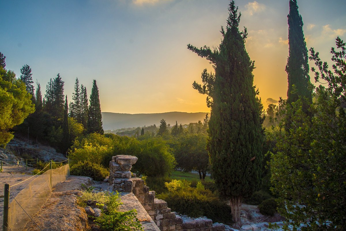 Israel ישראל tweet media