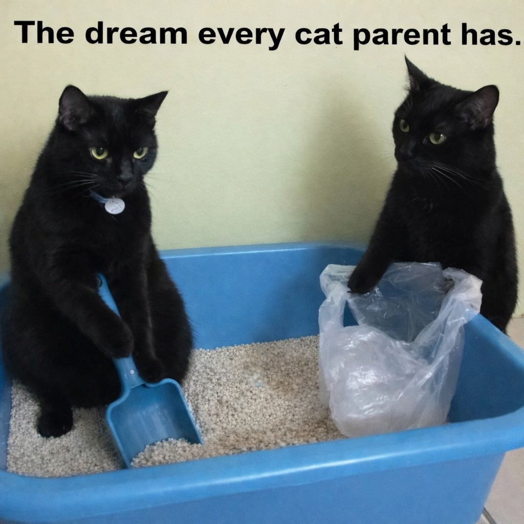 NoCatsNoLife_m's tweet photo. True 🤣🤣🤣 https://t.co/enArKLAlsk