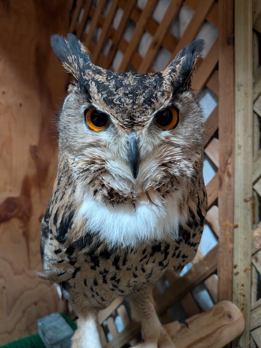 ただいま〜。ご飯持ってくるから、もう少し待っててね