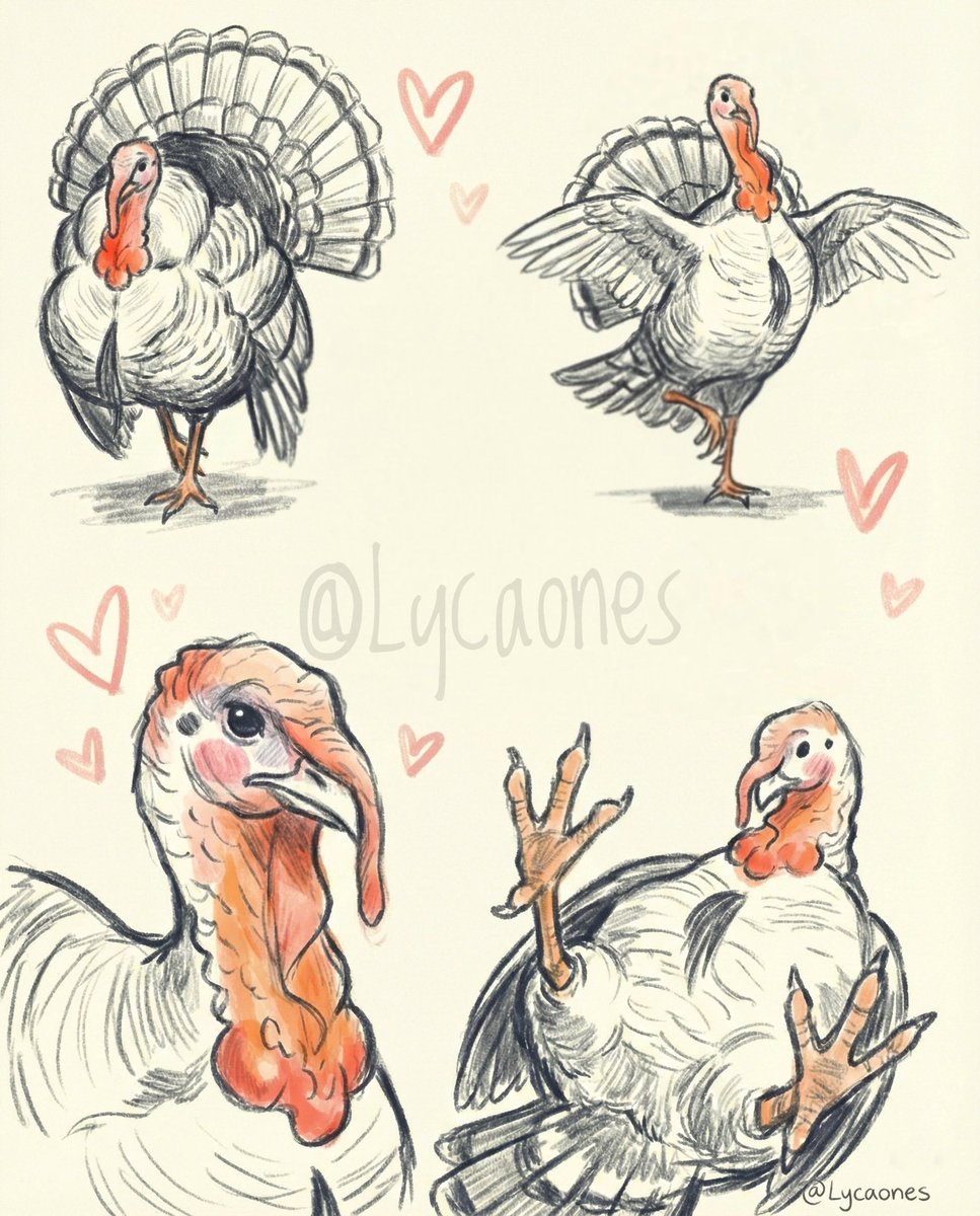 La dualidad del Guajolote en Náhuatl

El término español «guajolote» proviene directamente del vocablo náhuatl Huēhxōlōtl. Desde una perspectiva morfológica, esta palabra designa específicamente al macho de la especie. Su etimología se construye sobre la raíz Xōlōtl (asociada a