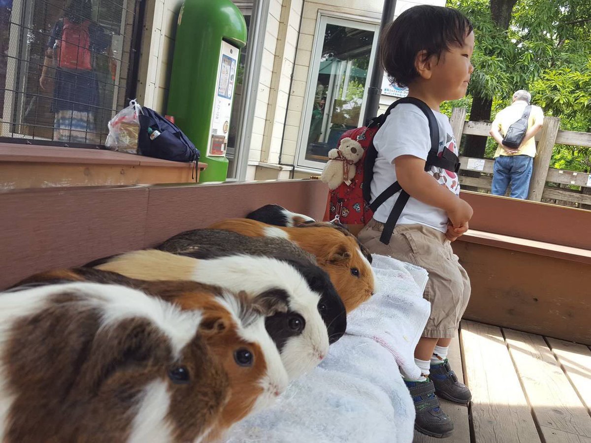 mangchiants's tweet image. 슬슬야구할때가오는구먼