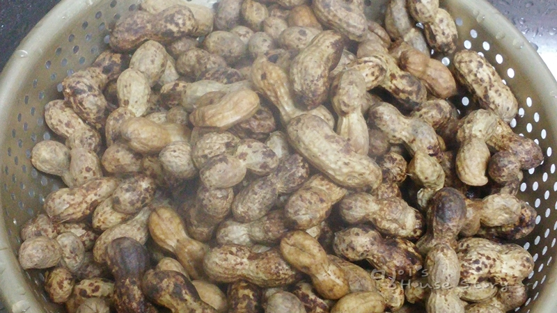 삶은 땅콩을...
타지 사람들은... 안 먹는다고...?
경상도만 먹는 거 였다고....?