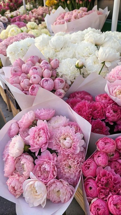 Kundan07__'s tweet photo. 𝑯𝒂𝒑𝒑𝒚 𝑩𝒊𝒓𝒕𝒉𝒅𝒂𝒚 𝑵𝒊𝒅𝒉𝒊 🎀
𝑴𝒚 𝒍𝒐𝒗𝒆𝒍𝒚 𝒍𝒂𝒛𝒚 𝒔𝒊𝒔𝒕𝒆𝒓 𝑴𝒂𝒚 𝑴𝒐𝒕𝒉𝒆𝒓 𝑮𝒐𝒅𝒅𝒆𝒔𝒔 𝒇𝒖𝒍𝒇𝒊𝒍𝒍 𝒂𝒍𝒍 𝒚𝒐𝒖𝒓 𝒅𝒓𝒆𝒂𝒎𝒔 𝑨𝒍𝒘𝒂𝒚𝒔 𝑲𝒆𝒆𝒑 𝑺𝒎𝒊𝒍𝒊𝒏𝒈 &amp; 𝑯𝒂𝒗𝒆 𝒂 𝒋𝒐𝒚𝒇𝒖𝒍 𝒃𝒅𝒂𝒚. 🎂✨🌼🥰
@Quite_Quicker https://t.co/UnxScVEvO5