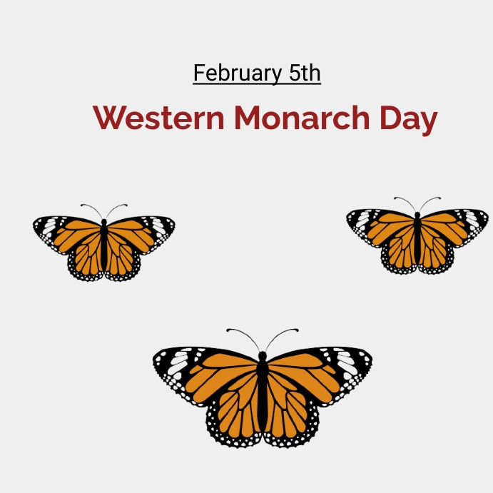 PatNovak_GCN's tweet photo. #ThisDayIs🗓️
#WesternMonarchDay
#NationalChocolateFondueDay
#NationalWeatherpersonsDay
#NationalPrimroseDay
#OptimistDay
#WorldNutellaDay
#KashmirDay
#FeastofStAgatha https://t.co/VEoRxcpJ4f