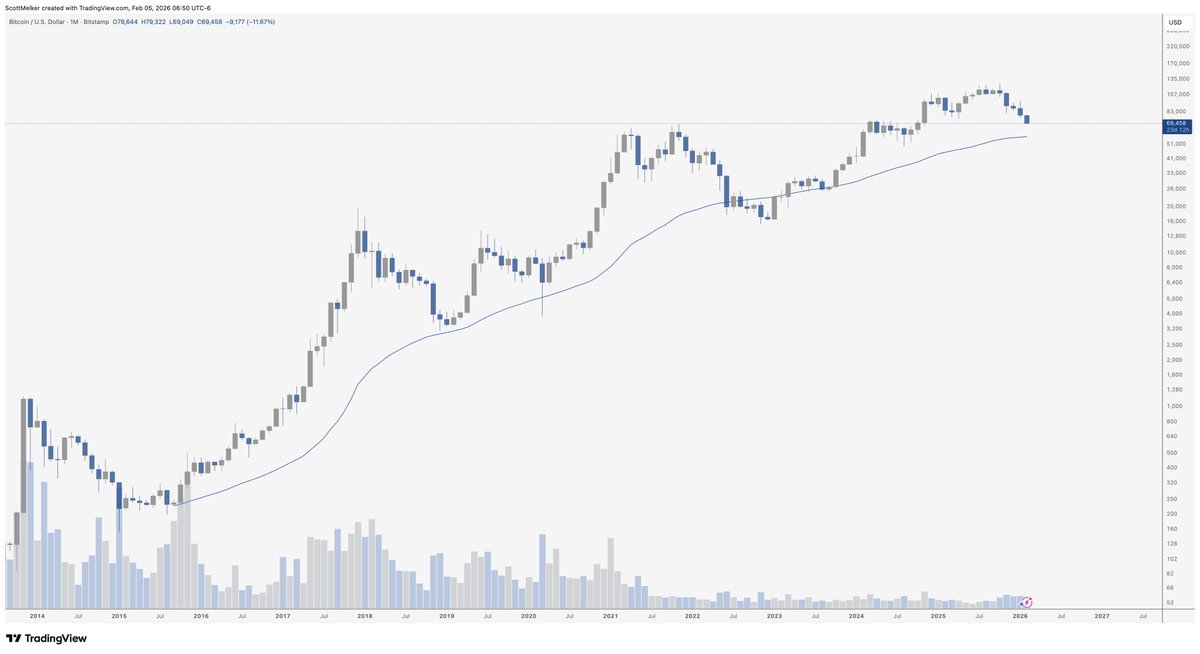 The Wolf Of All Streets tweet media