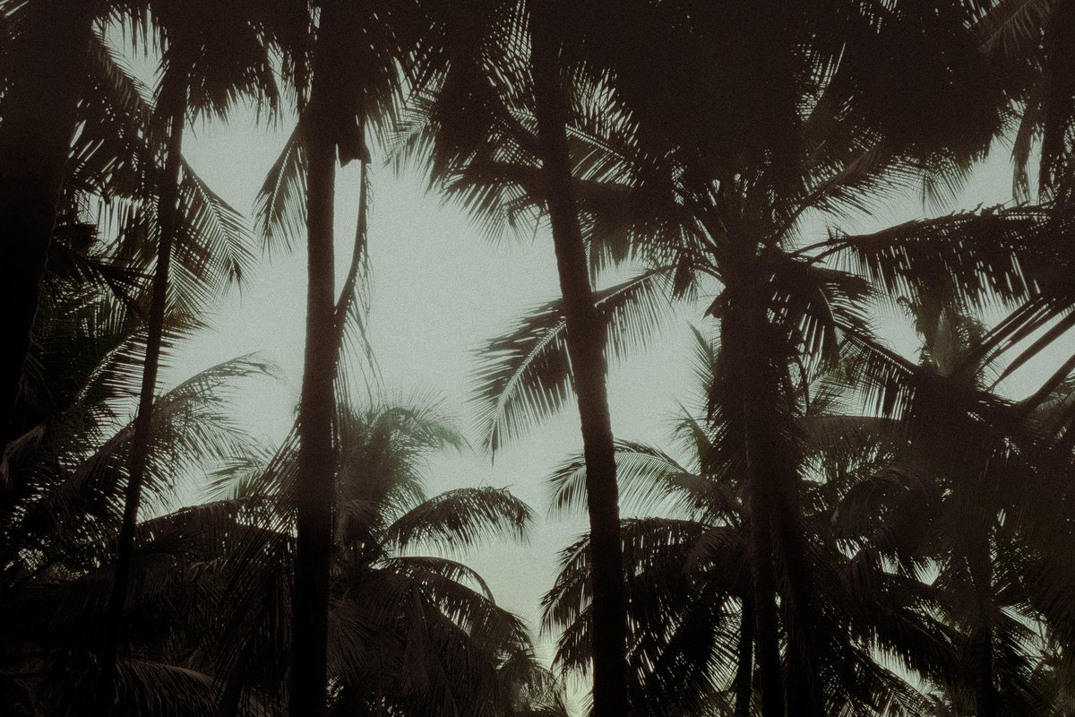 place where memories once existed.