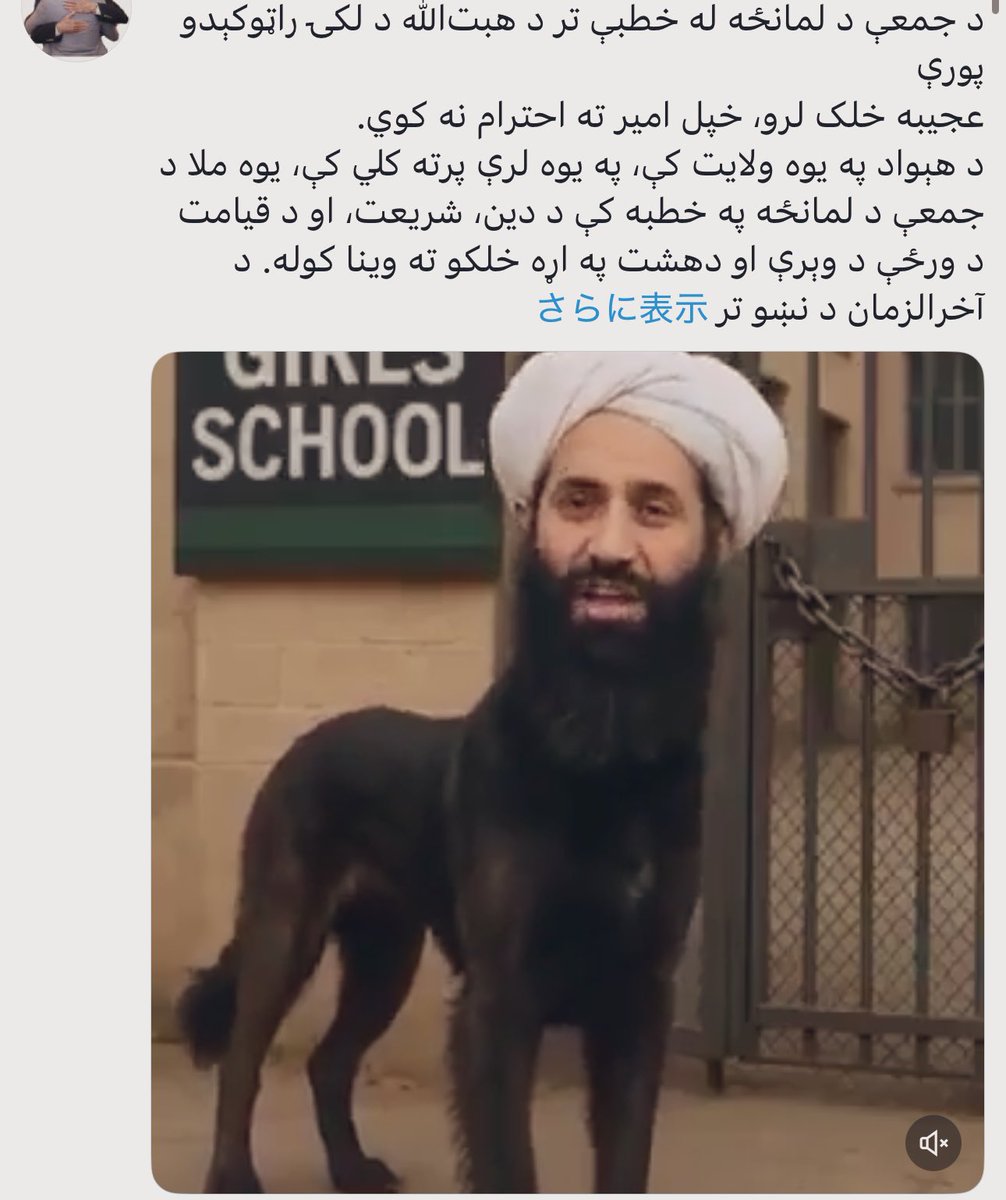 ❉よしさま専用ページ❉ パシュトーX、治安悪すぎワロタ