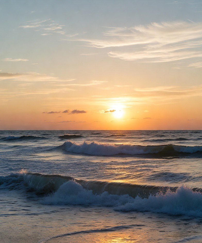 Lisa🌺 tweet media