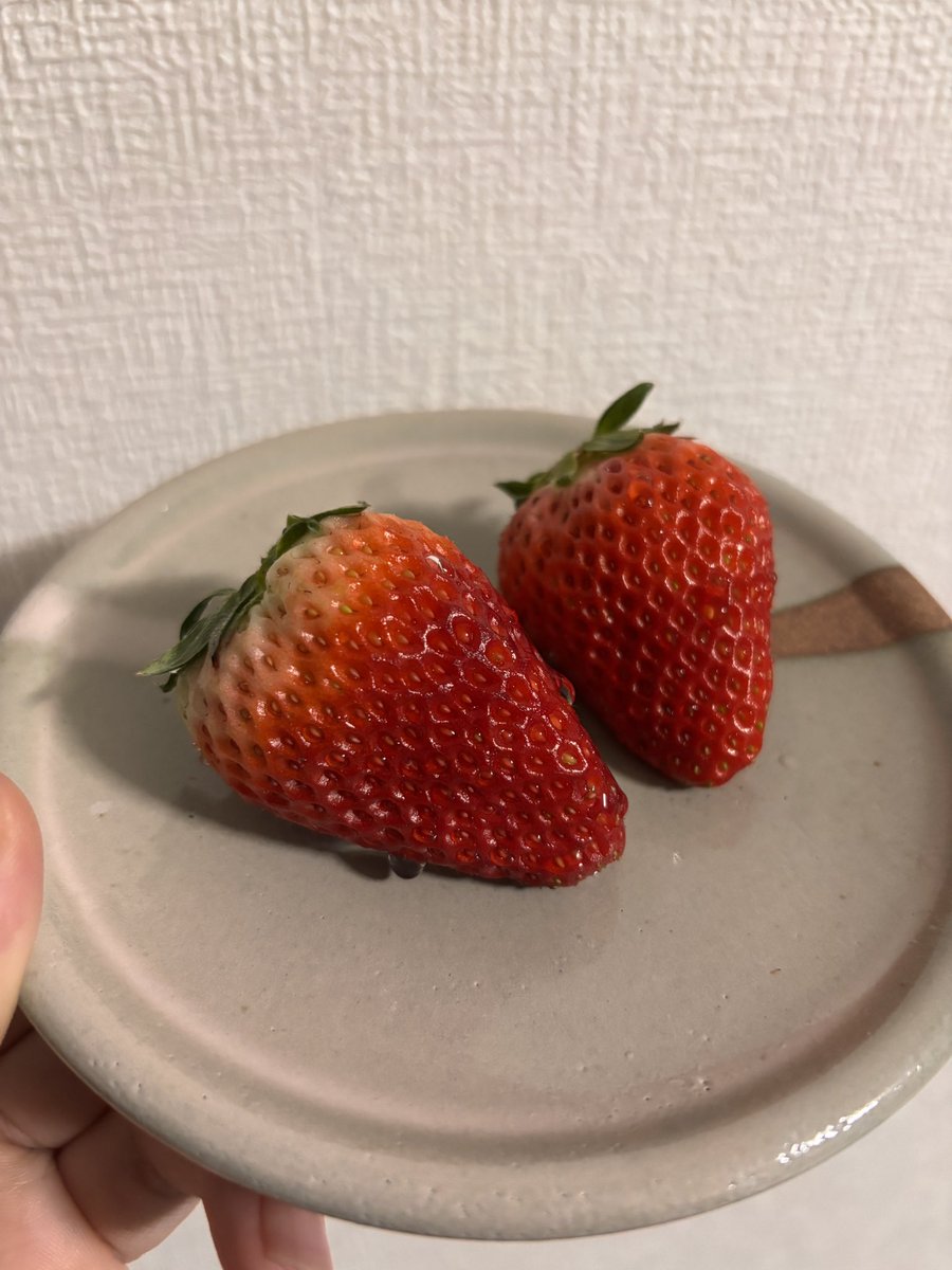 寒いですねぇ…