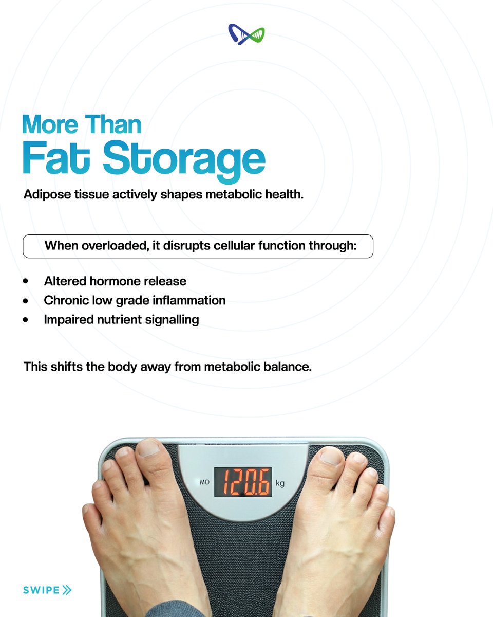 Mitogenez Longevity tweet media