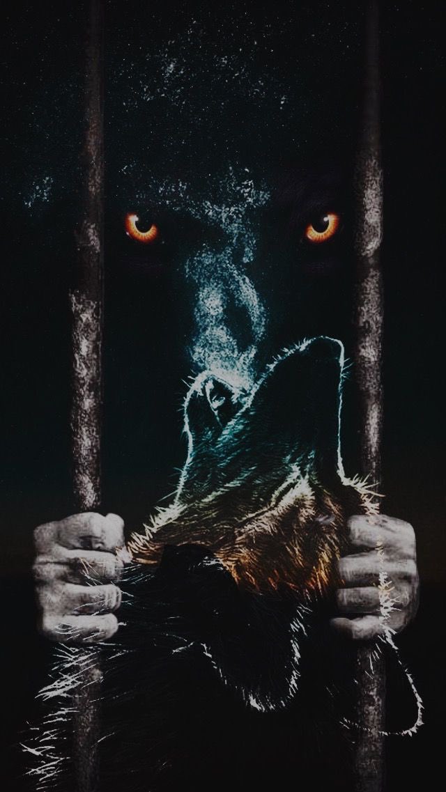 🌘 𝕸𝖎𝖉𝖓𝖎𝖌𝖍𝖙𝕬𝖈𝖍𝖊 🌒 tweet media