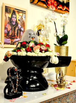 Auch wer nur einige Stunden dabei ist, kann die besondere Atmosphäre von Shivaratri bei Yoga Vidya spüren.
#Mahashivaratri #YogaVidya #Erfahrung