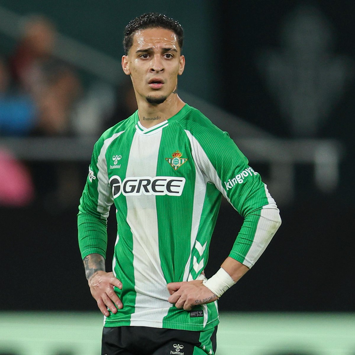 Offsider_ES's tweet image. 🎁🟢 ¡REGALAMOS LA CAMISETA DEL REAL BETIS!

Si hoy gana el Real Betis con gol de Antony, regalamos su camiseta entre los que den RT y nos sigan.

🍀 ¡Mucha suerte a todos! #CopaDelRey