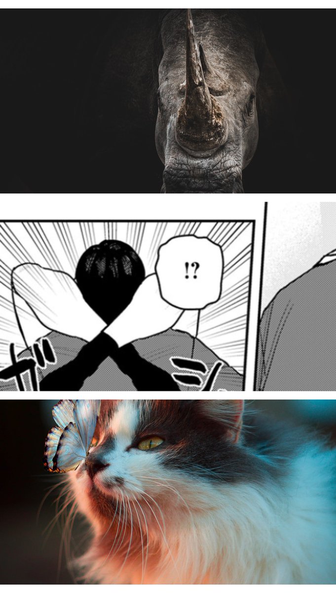 1ktx_'s tweet photo. プロの領域
(1/6) SFW https://t.co/ePlcJAJAyt