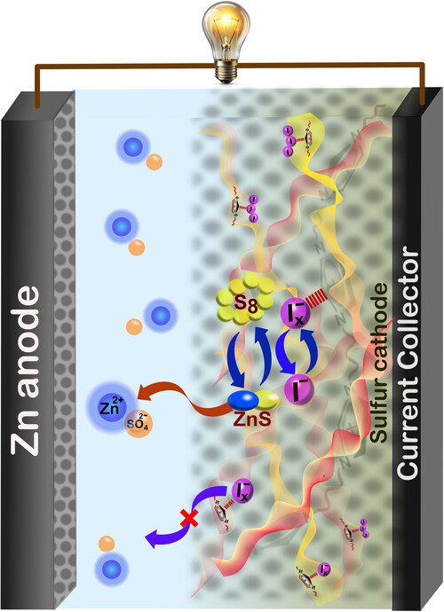 Mandal-Group_IITRopar tweet media