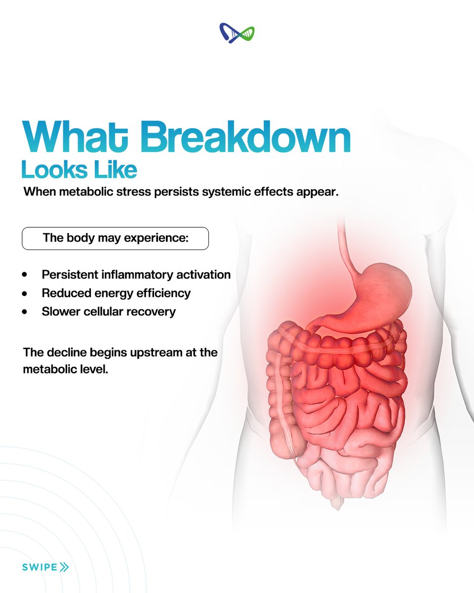 Mitogenez Longevity tweet media