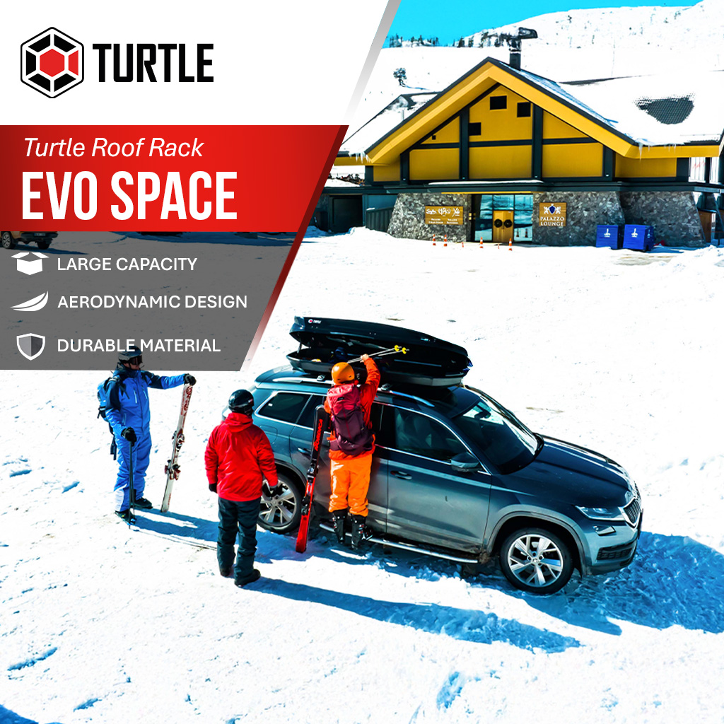 Turtle Can Carry tweet media