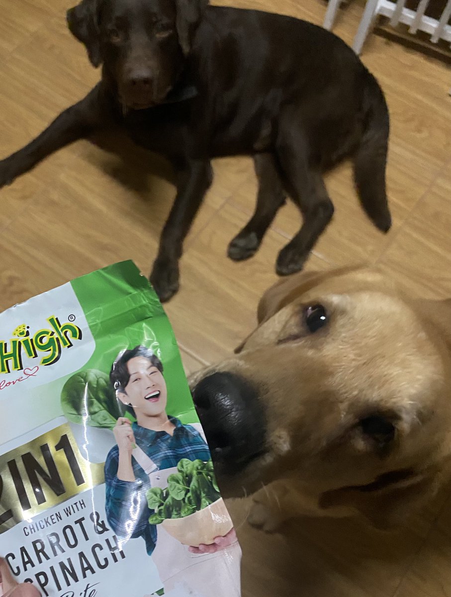 ppponddd2's tweet photo. หยิบขนมมาให้หมาแบบบังเอิญ คิดถึงมากนะ
#พี่จอง #jerhigh https://t.co/IRQMBOtD9I