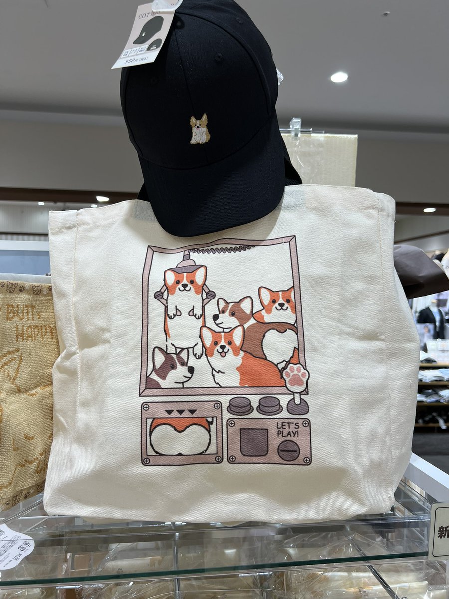 ★ EIN ★@甘えん坊コーギー☻ tweet media