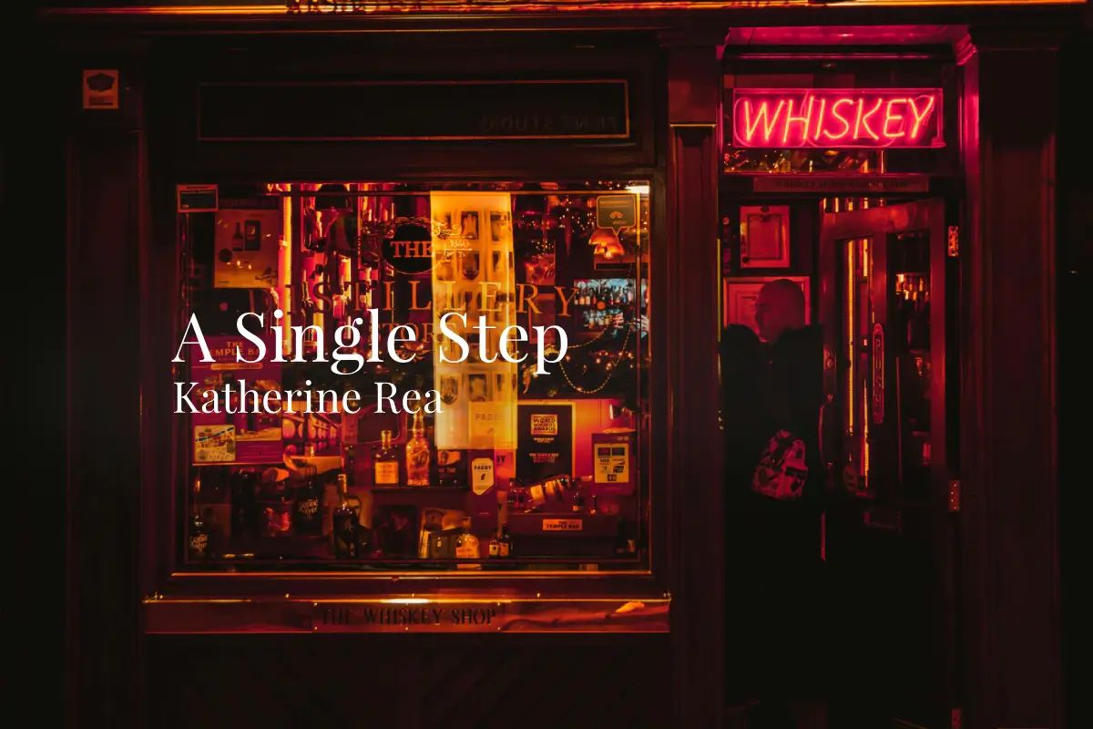 Bristol Noir tweet media