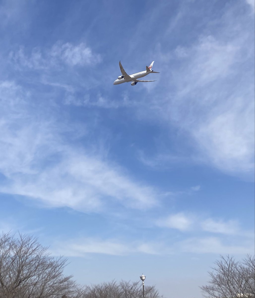 カゲフネ tweet media