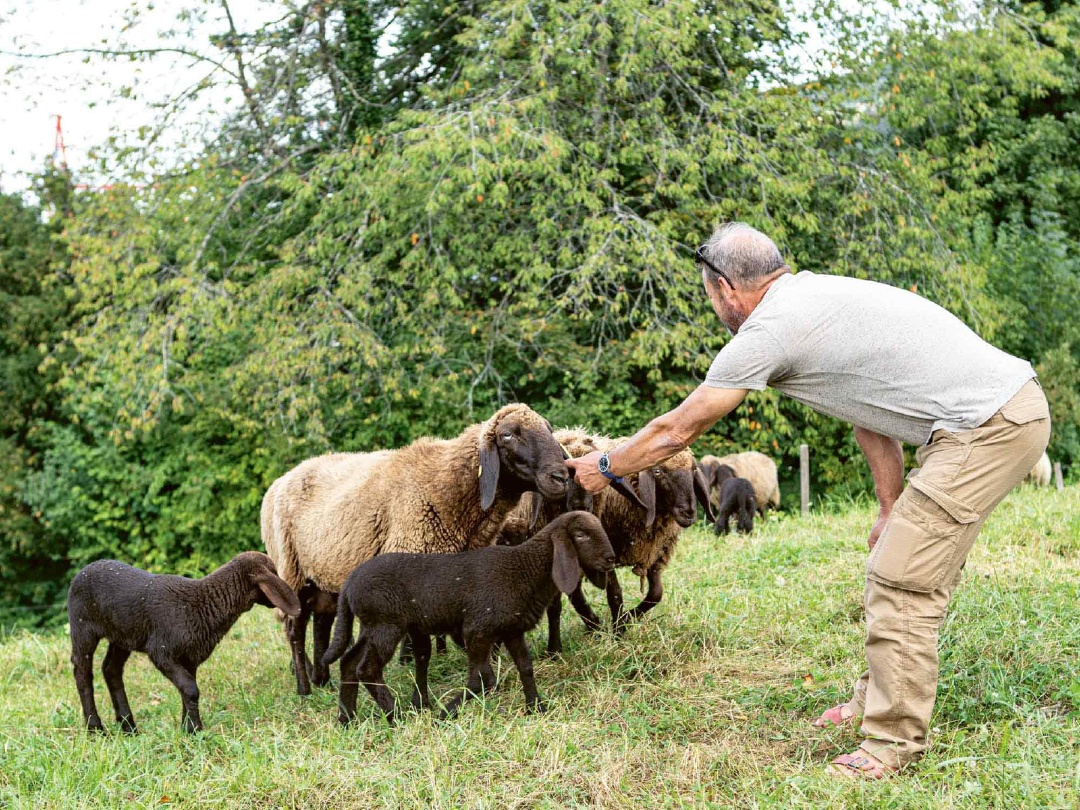 Innere Entwicklung als Antwort auf die KI-Transformation • Thomas Kliemt

Mit Blick auf die unbegreiflich rasanten Entwicklungen im Bereich künstlicher Intelligenz (KI) wird von einer ‹Transformation der Gesellschaft› gesprochen, die vor der Tür steht. Die Landwirtschaft ist
