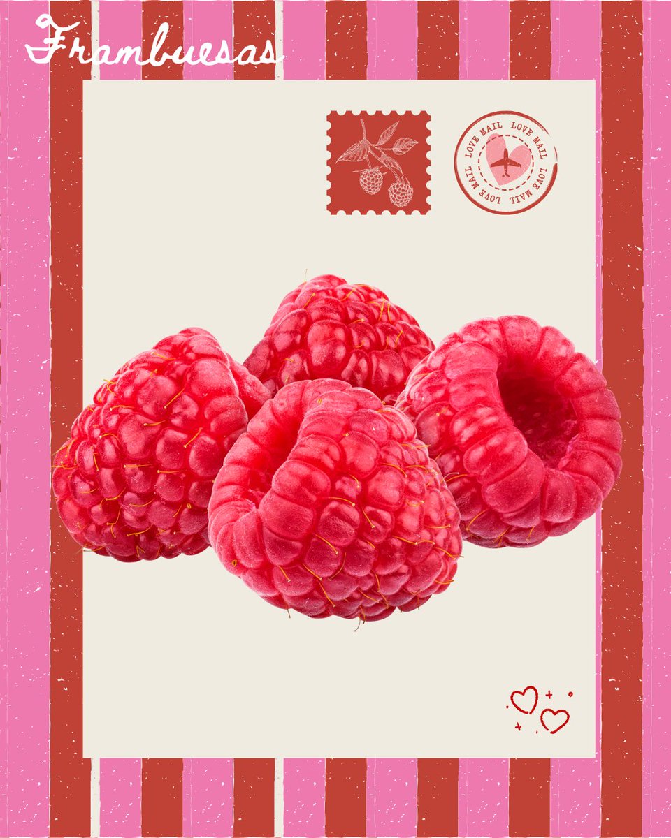 FrutasCharito's tweet image. Dulce, crujiente y frutal 🍓✨ Estos bombones de chocolate negro y frambuesa están increíbles 😋

 Solo mezcla, rellena los moldes y refrigera 2 horas ❄️: frutascharito.es/frutas-del-bos…

#frutascharito #mercadodechamartin #bombones #frambuesa #recetafacil #madrid