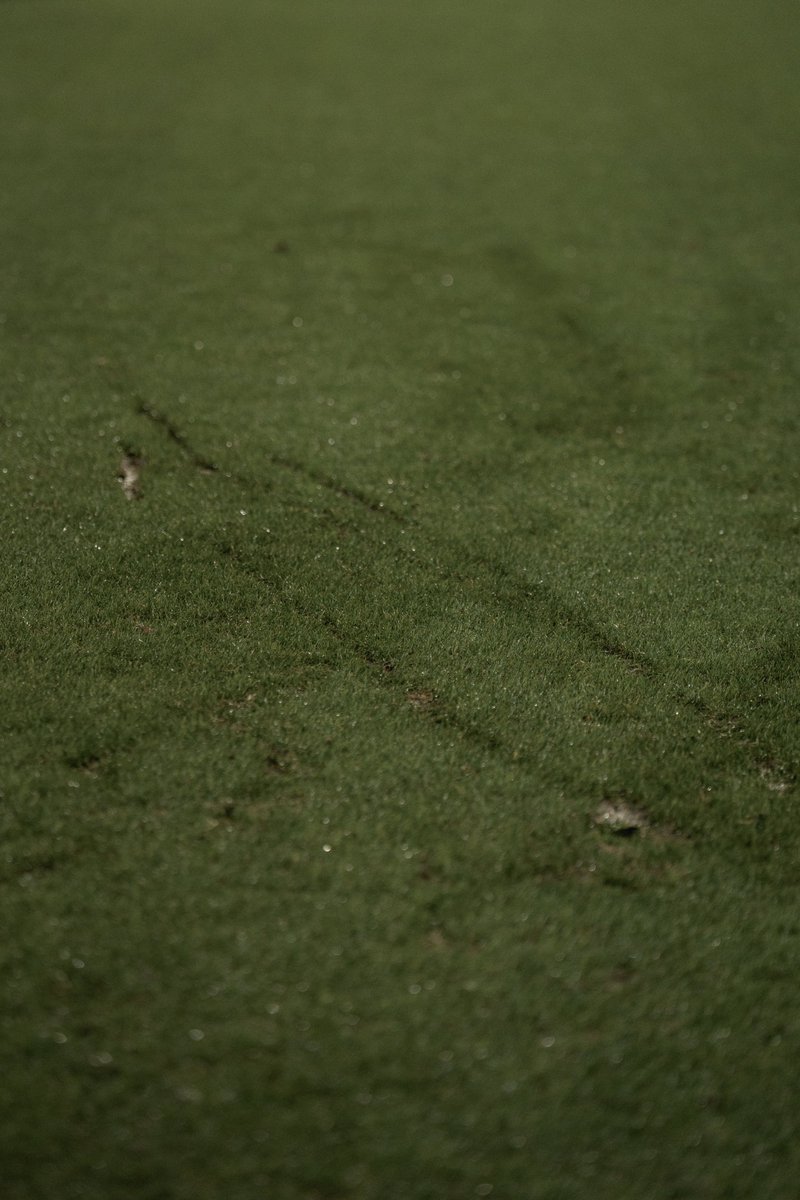 🚨 𝗟𝗔 𝗖𝗘́𝗟𝗘́𝗕𝗥𝗔𝗧𝗜𝗢𝗡 𝗗𝗘 𝗡𝗢𝗔𝗛 𝗖𝗔𝗗𝗜𝗢𝗨 🇬🇵 𝗔 𝗟𝗔𝗜𝗦𝗦𝗘́ 𝗗𝗘𝗦 𝗧𝗥𝗔𝗖𝗘𝗦 𝗔𝗨 𝗠𝗢𝗨𝗦𝗧𝗢𝗜𝗥 ! 🤣🌿🐟

Petite pensée aux jardiniers. 🧑‍🌾

📸<a href="/FCLorient/">FC LORIENT 🐟</a>