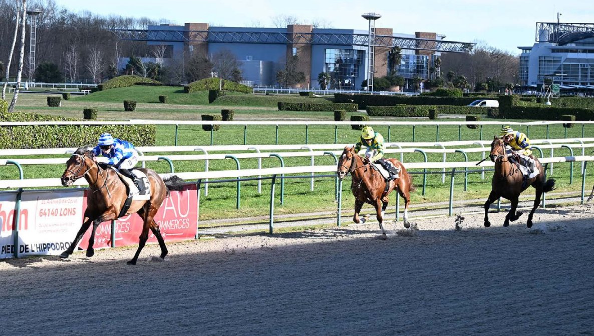 Yeguada Centurión FAN tweet media