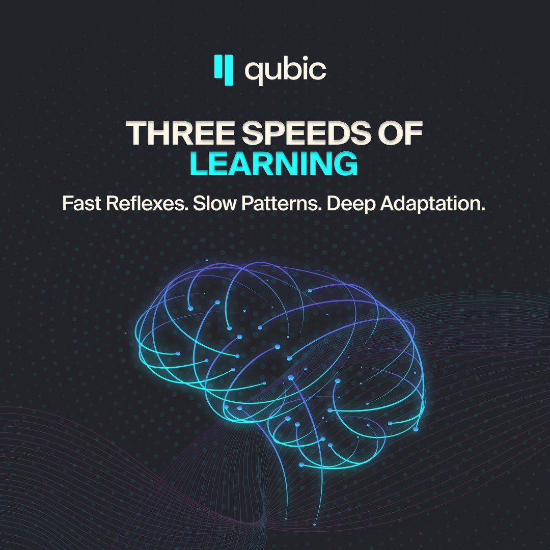 You pull your hand from a hot stove in milliseconds.
You remember the stove is dangerous for years.

Same brain.
Different timescales.
Both essential.

Neuraxon synapses work the same way, across three speeds at once:

Fast (~5ms): reflex-level reactions
Slow (~50ms): short-term