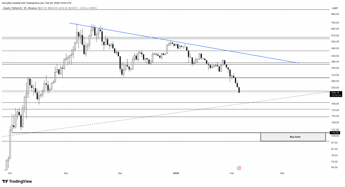 Harry 🍔 tweet media