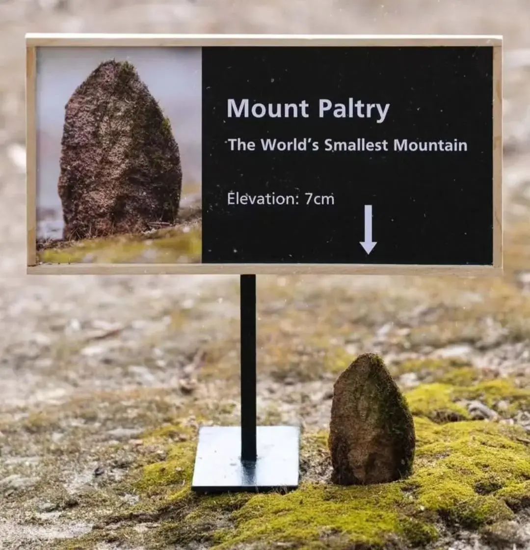 Nature is Amazing ☘️ tweet media