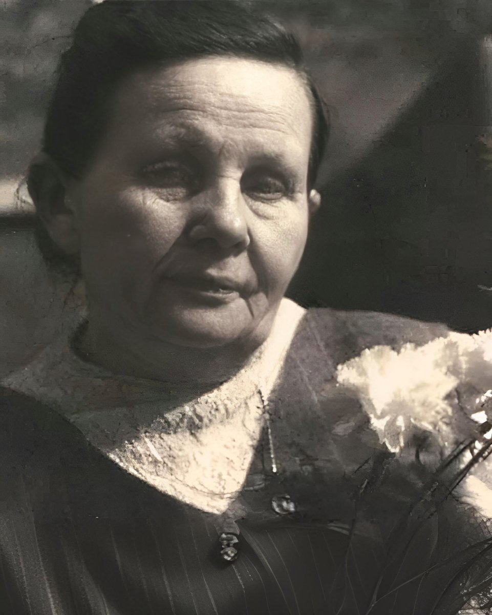 Luana Fabri tweet media