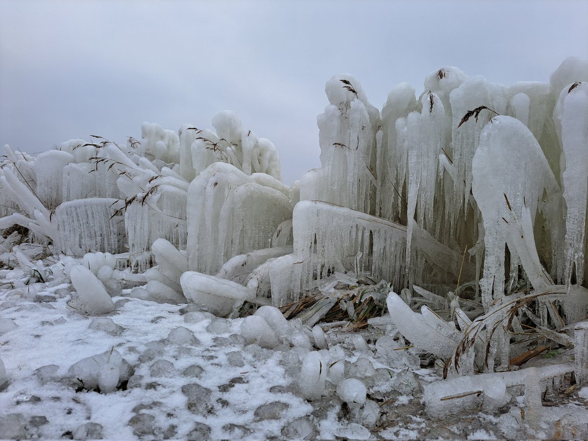 ➡️ Robert de Vries tweet media