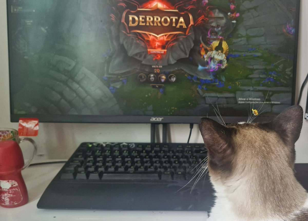 Treziter's tweet photo. Ele sabe muito bem oq ele fez... https://t.co/xA9lGZ5Lvn