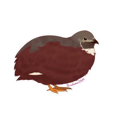 瓶詰めJAM / BindumeJAM tweet media